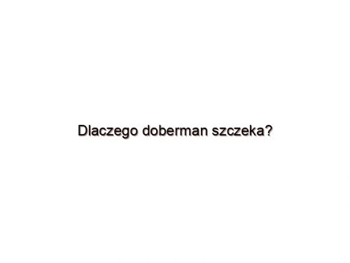 Dlaczego doberman szczeka?