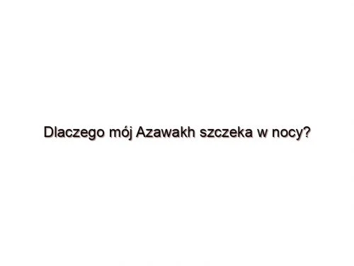 Dlaczego mój Azawakh szczeka w nocy?