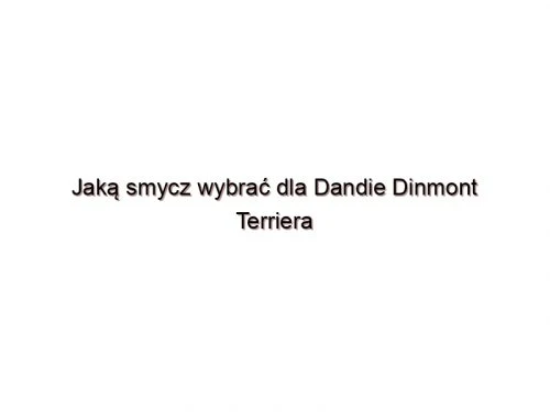Jaką smycz wybrać dla Dandie Dinmont Terriera