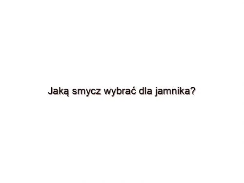 Jaką smycz wybrać dla jamnika?