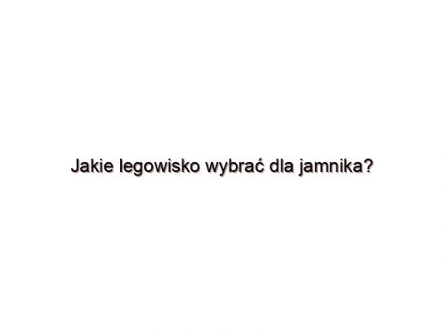 Jakie legowisko wybrać dla jamnika?